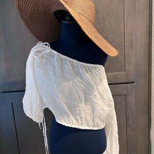 Aritzia Brown Wide-Brim Hat